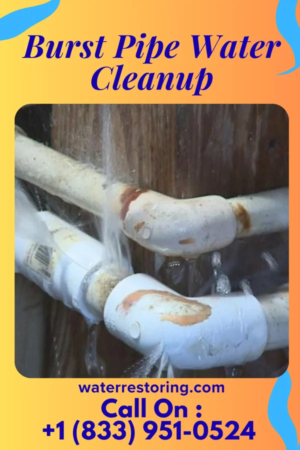 Burst Pipe Water Cleanup in Pine Lakes, FL